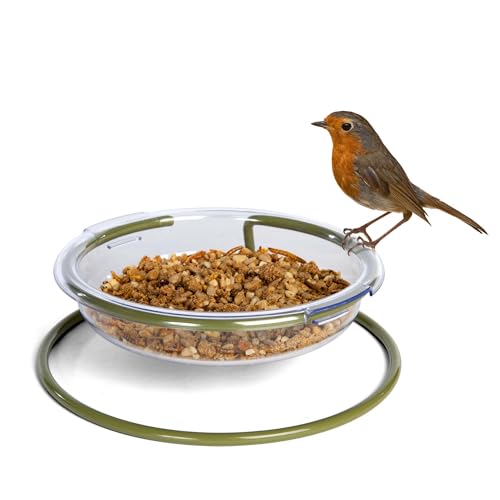 Vogelfutterstation für den Garten, Mehlwürmer und Rotkehlchen, Jacobi Jayne® I Love Robins™, leicht zu reinigende Leckerli-Schale, gemahlene Vogelfutterstation – Rotkehlchen-Futterspender für den von Jacobi Jayne