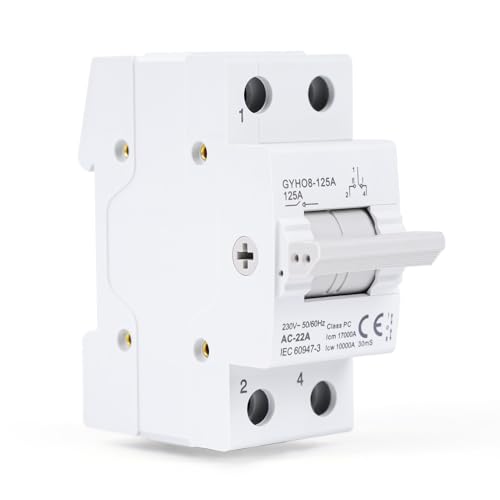 Jadeshay Manueller Transferschalter, Umschalter 125A Lasttrennschalter Dual Power Manual Transfer Isolating Switch Interlock Schutzschalter DIN-Schienenmontage(1P 230AC) von Jadeshay