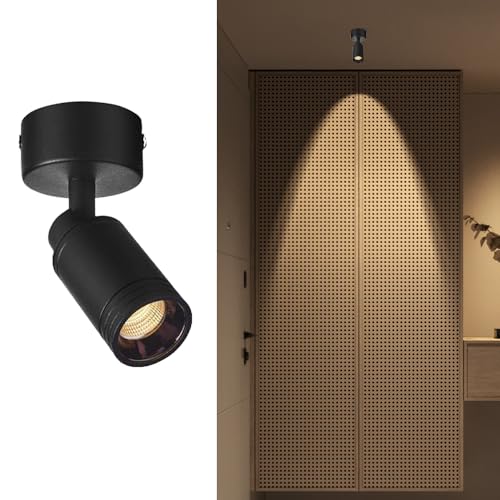 Jadssox Verstellbarer Deckenstrahler, 5 W, freiliegender Spot, LED-Deckenstrahler zur Unterputzmontage, Richtungsstrahler, Akzentbeleuchtung, Lampen zur Kunstwerkanzeige von Jadssox