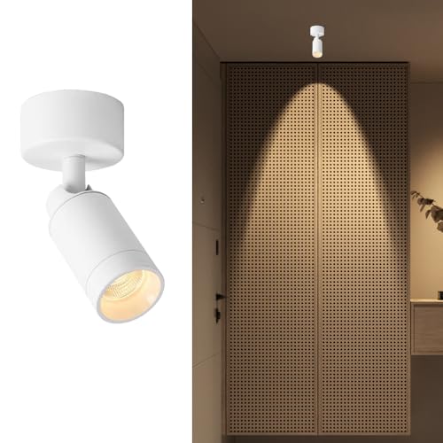 Jadssox Verstellbarer Deckenstrahler, 5 W, freiliegender Spot, LED-Deckenstrahler zur Unterputzmontage, Richtungsstrahler, Akzentbeleuchtung, Lampen zur Kunstwerkanzeige von Jadssox