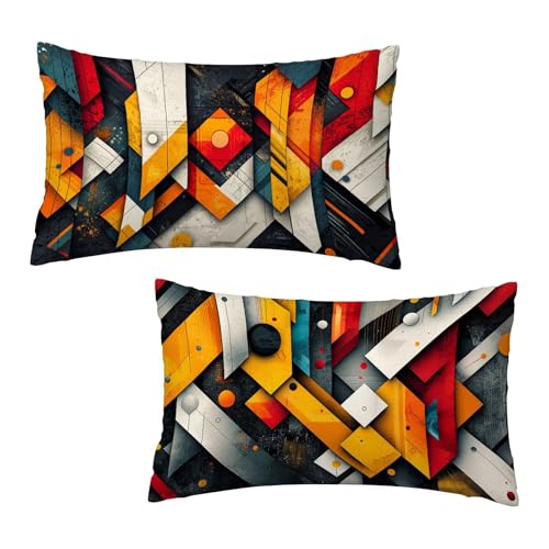 Kissenbezug 30x50 cm Abstrakt Kissenbezüge Geometrie 2er Set, Samt Kopfkissenbezug Sofakissen Dekorative Rechteck Kissenhüllen mit Unsichtbarem Reißverschluss Design Deko Geschenke für Frauen I-2 von Jaeixouu