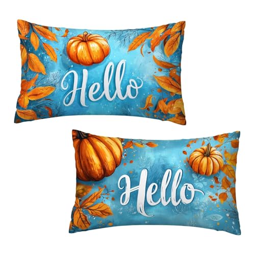 Kissenbezug 30x50 cm Blau Kissenbezüge Orange 2er Set, Samt Kopfkissenbezug Sofakissen Dekorative Rechteck Kissenhüllen mit Unsichtbarem Reißverschluss Design Deko Wohnzimmer Geschenke für Frauen O-4 von Jaeixouu