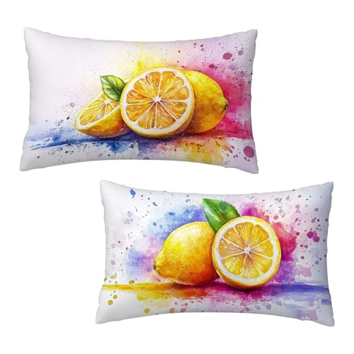 Kissenbezug 30x50 cm Zitrone Kissenbezüge Bunt 2er Set, Samt Kopfkissenbezug Sofakissen Dekorative Rechteck Kissenhüllen mit Unsichtbarem Reißverschluss Design Deko Wohnzimmer Geschenke für Frauen H-3 von Jaeixouu