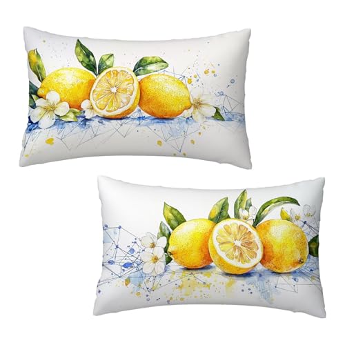 Kissenbezug 30x50 cm Zitrone Kissenbezüge Geometrie 2er Set, Samt Kopfkissenbezug Sofakissen Dekorative Rechteck Kissenhüllen mit Unsichtbarem Reißverschluss Deko Wohnzimmer Geschenke für Frauen L-7 von Jaeixouu