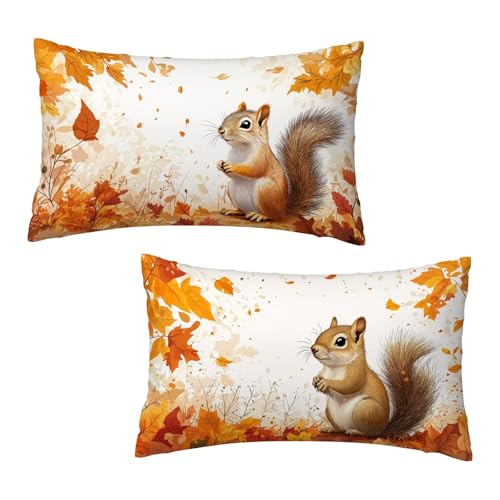Kissenbezug 40 x 80 cm Fallen Kissenbezüge Eichhörnchen 2er Set, Samt Kopfkissenbezug Sofakissen Dekorative Rechteck Kissenhüllen mit Unsichtbarem Reißverschluss Design Deko Geschenke für Frauen X-3 von Jaeixouu