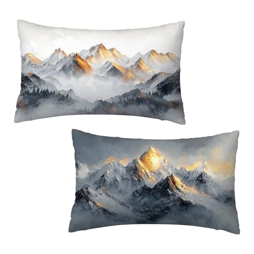 Kissenbezug 40 x 80 cm Grau Kissenbezüge Berg 2er Set, Samt Kopfkissenbezug Sofakissen Dekorative Rechteck Kissenhüllen mit Unsichtbarem Reißverschluss Design Deko Wohnzimmer Geschenke für Frauen C-6 von Jaeixouu