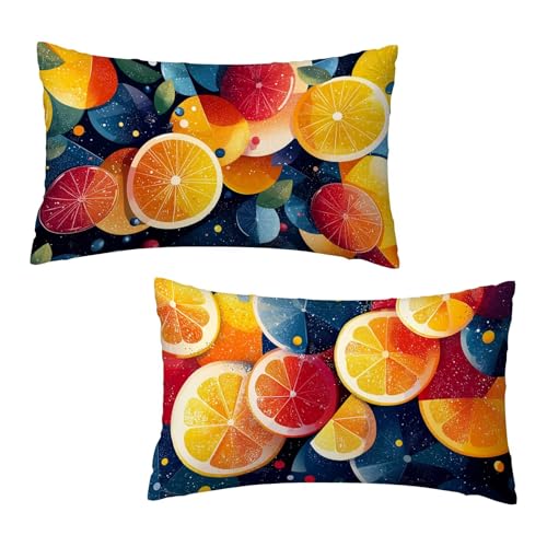 Kissenbezug 40 x 80 cm Zitrone Kissenbezüge Abstrakt 2er Set, Samt Kopfkissenbezug Sofakissen Dekorative Rechteck Kissenhüllen mit Unsichtbarem Reißverschluss Design Deko Geschenke für Frauen Z-7 Kissenbezug 40 x 80 cm Zitrone Kissenbezüge Abstrakt 2er Set, Samt Kopfkissenbezug Sofakissen Dekorative Rechteck Kissenhüllen mit Unsichtbarem Reißverschluss Design Deko Geschenke für Frauen Z-7 von Jaeixouu