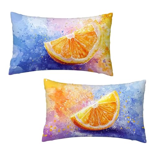 Kissenbezug 40 x 80 cm Zitrone Kissenbezüge Blau 2er Set, Samt Kopfkissenbezug Sofakissen Dekorative Rechteck Kissenhüllen mit Unsichtbarem Reißverschluss Deko Wohnzimmer Geschenke für Frauen X-3 Kissenbezug 40 x 80 cm Zitrone Kissenbezüge Blau 2er Set, Samt Kopfkissenbezug Sofakissen Dekorative Rechteck Kissenhüllen mit Unsichtbarem Reißverschluss Deko Wohnzimmer Geschenke für Frauen X-3 von Jaeixouu