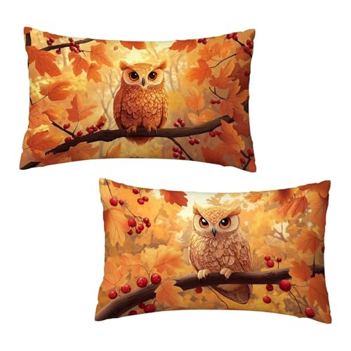 Kissenbezug 40x60 cm Fallen Kissenbezüge Eule 2er Set, Samt Kopfkissenbezug Sofakissen Dekorative Rechteck Kissenhüllen mit Unsichtbarem Reißverschluss Design Deko Wohnzimmer Geschenke für Frauen L-3 von Jaeixouu