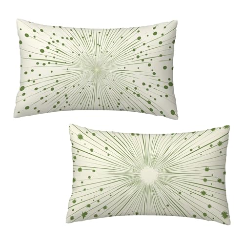 Kissenbezug 40x60 cm Salbeigrün Kissenbezüge Einfach 2er Set, Samt Kopfkissenbezug Sofakissen Dekorative Rechteck Kissenhüllen mit Unsichtbarem Reißverschluss Design Deko Geschenke für Frauen D-3 von Jaeixouu