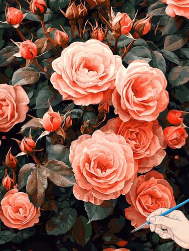 Malen Nach Zahlen Erwachsene Blumen Malen Nach Zahlen Kinder ab 10 Rose Set Basteln Erwachsene DIY Paint by Numbers Adult Acrylfarbe Ölgemälde Bastelset für Geschenke Deko Wohnzimmer 60x80cm I-38 von Jaeixouu