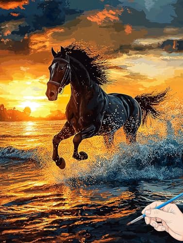 Malen Nach Zahlen Erwachsene Meer Malen Nach Zahlen Kinder ab 10 Pferde Set Basteln Erwachsene DIY Paint by Numbers Adult Acrylfarbe Ölgemälde Bastelset für Geschenke Deko Wohnzimmer 40x50cm G-60 Malen Nach Zahlen Erwachsene Meer Malen Nach Zahlen Kinder ab 10 Pferde Set Basteln Erwachsene DIY Paint by Numbers Adult Acrylfarbe Ölgemälde Bastelset für Geschenke Deko Wohnzimmer 40x50cm G-60 von Jaeixouu