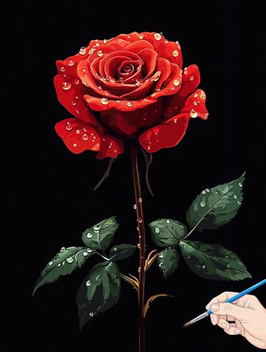 Malen Nach Zahlen Erwachsene Rose Malen Nach Zahlen Blumen DIY Set Ewachsene Paint by Numbers Adult mit Pinseln und Acrylfarbe Handgemalt Ölgemälde Kit Geschenke für Frauen Halloween Deko 30x40cm J-18 Malen Nach Zahlen Erwachsene Rose Malen Nach Zahlen Blumen DIY Set Ewachsene Paint by Numbers Adult mit Pinseln und Acrylfarbe Handgemalt Ölgemälde Kit Geschenke für Frauen Halloween Deko 30x40cm J-18 von Jaeixouu