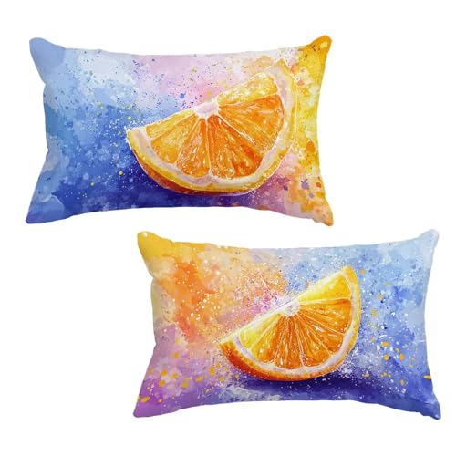 Outdoor Kissen Kissenbezug 30x50 cm Zitrone Kissenbezug Blau 2er Set, Outdoor Kissen Wetterfest Rechteck Leinen Kissenhüllen Dekokissen mit Unsichtbarem Reißverschluss für Terrassen Deko Balkon X-3 von Jaeixouu