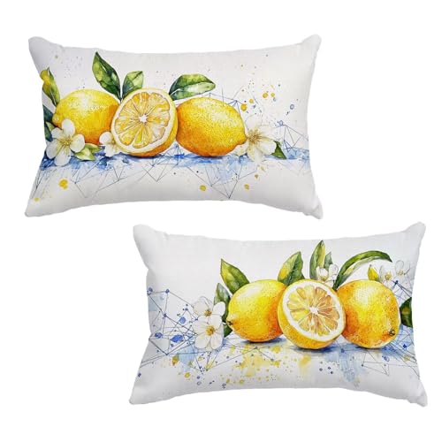 Outdoor Kissen Kissenbezug 40x60 cm Zitrone Kissenbezug Geometrie 2er Set, Outdoor Kissen Wetterfest Rechteck Leinen Kissenhüllen Dekokissen mit Unsichtbarem Reißverschluss für Terrassen Deko L-7 von Jaeixouu