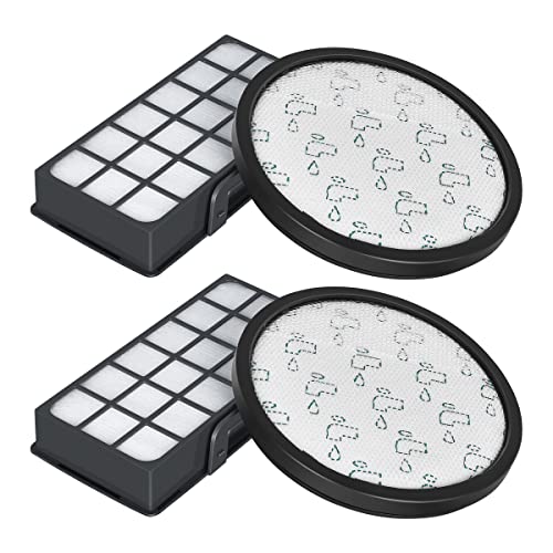 Jajadeal 2 Stück Filter für Rowenta X-Trem Power Cyclonic Staubsauger, Ersatzfilter Zubehör Kompatibel mit RO69xx Modell von Jajadeal