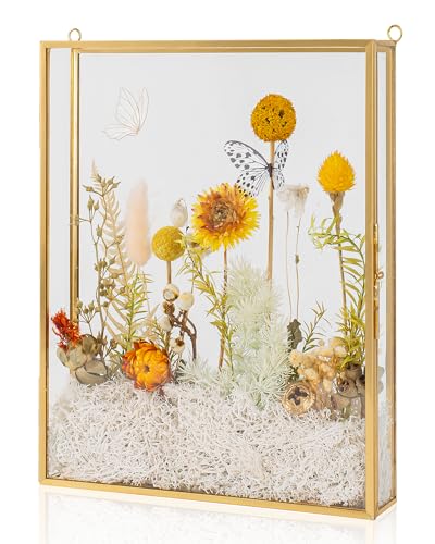 Schattenbox-Rahmen 8x10, Tiefe Glas-Schattenbox-Vitrine, 3D-Schattenboxen, Bilderrahmen für selbstgemachte, getrocknete Hochzeitsblumen, Erinnerungen, Tickets und Fotos Schattenbox-Rahmen 8x10, Tiefe Glas-Schattenbox-Vitrine, 3D-Schattenboxen, Bilderrahmen für selbstgemachte, getrocknete Hochzeitsblumen, Erinnerungen, Tickets und Fotos von Jajamy