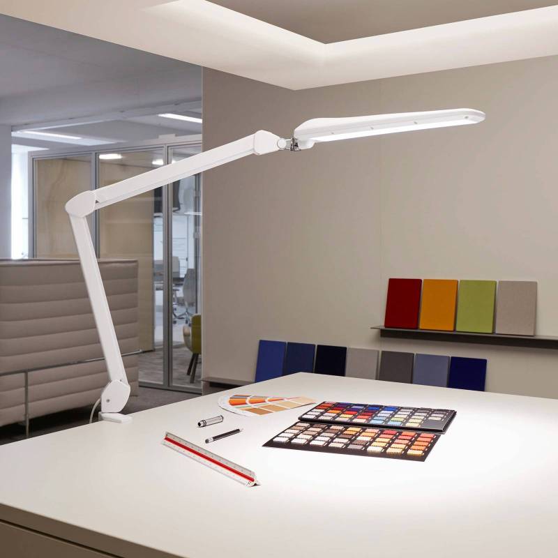 LED-Tischleuchte MAULcraft, weiß, 52 cm, Klemmfuß, dim von Maul