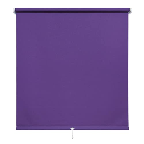 JalousieCrew Springrollo Schnapprollo Rollo Brombeere lila Breite 60-200 cm Länge 180 cm Blickdicht Blickschutz (170 x 180 cm) von JalousieCrew