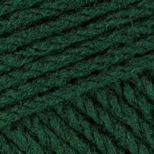 James C Brett Top Value Chunky Acrylgarn Stricken Häkelwolle 100 g Knäuel (TC10 Smaragdgrün) von James C. Brett