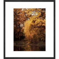 Innsbruck Fotografie, Natur Fotografie Druck, Große Wand Kunst, Wohn Deko, Alpine Kunstdruck, Natur-Druck, Baum-Druck Innsbruck Fotografie, Natur Fotografie Druck, Große Wand Kunst, Wohn Deko, Alpine Kunstdruck, Natur-Druck, Baum-Druck von JamesClancyPhotoArt