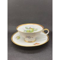 Schumann Arzberg Germany Früchte Tee Tasse von JammysTreasures