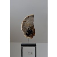 Designobjekt Aus Versteinertem Holz Und Edelstahl von JanHoStudio