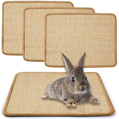 JanYoo 3 Stück Kratzmatte für Kaninchen 40x30cm, Sisal-Pads zum Kauen, Spielen und Kratzen, Schutz für Möbel und Pfoten, Beige von JanYoo