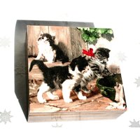 Die Kleine Holzkiste Für Katzenliebhaber Ist Ein Unikat Die Kleine Holzkiste Für Katzenliebhaber Ist Ein Unikat von JanaPysanky