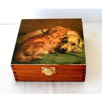 Holzbox Box Beste Freunde, Hund Und Katze, Süße Haustiere, Home Dekoration, Erinnerungsbox, Schmuckschatulle, Geschenk Für Tierliebhaber Holzbox Box Beste Freunde, Hund Und Katze, Süße Haustiere, Home Dekoration, Erinnerungsbox, Schmuckschatulle, Geschenk Für Tierliebhaber von JanaPysanky