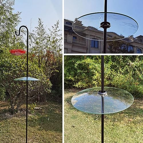 Janasiba 1 Stück Glas-Eichhörnchenabweiser für Vogelfutterautomatenpfahl - Schäferhaken/Postaufhängung - Klar 13 Großwetter von Janasiba