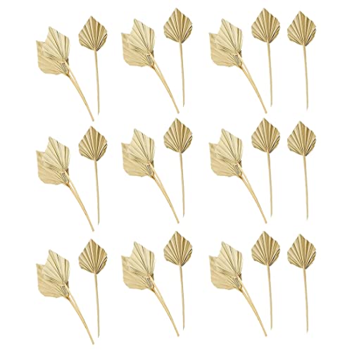 Janasiba 30 Stück Boho Getrocknete Palmspeere Natürliche Getrocknete Palm FäCher Janasiba 30 Stück Boho Getrocknete Palmspeere Natürliche Getrocknete Palm FäCher von Janasiba