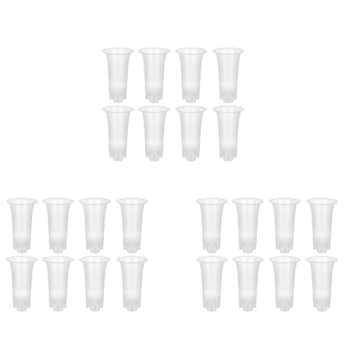 Janasiba 5 24Pcs Clear Flower Pot Pflanzer Kunststoff Orchideentopf mit Löchern Hohe Blumentöpfe Für Home Flower Shop Dekoration Janasiba 5 24Pcs Clear Flower Pot Pflanzer Kunststoff Orchideentopf mit Löchern Hohe Blumentöpfe Für Home Flower Shop Dekoration von Janasiba