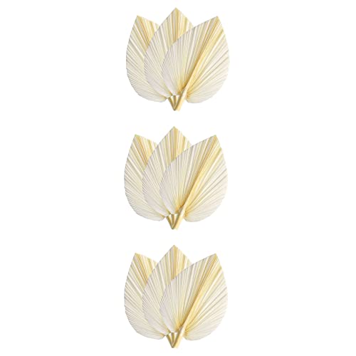 Janasiba Große Weiße Getrocknete Palmblätter - Premium-Qualität - 9 Stück Elegante Moderne Boho-Heim- und Hochzeitsdekoration - Wandkunst von Janasiba