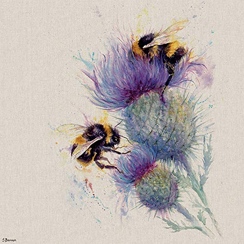 Jane Bannon 'Bees on Thistle' Kunstdruck auf Leinwand,60 x 60 cm von Jane Bannon