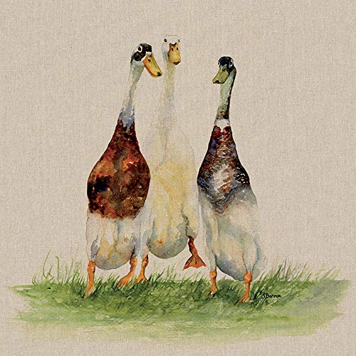 Jane Bannon Dilly, Roly & Henry 60 x 60cm Canvas Print Leinwanddruck, Mehrfarbig, 60 x 60 cm von Jane Bannon