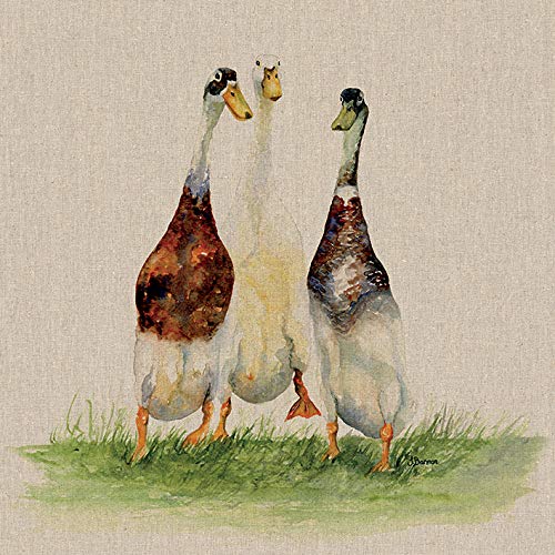 Jane Bannon Dilly, Roly & Henry 40 x 40cm Canvas Print Leinwanddruck, Mehrfarbig, 40 x 40 cm von Jane Bannon