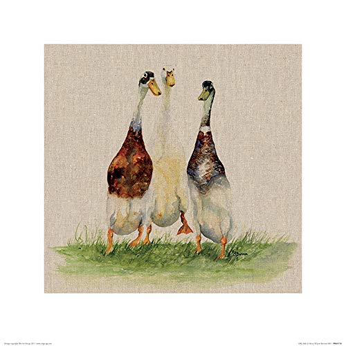 Jane Bannon "Dilly, Roly & Henry 40 x 40cm Kunstdruck von Jane Bannon