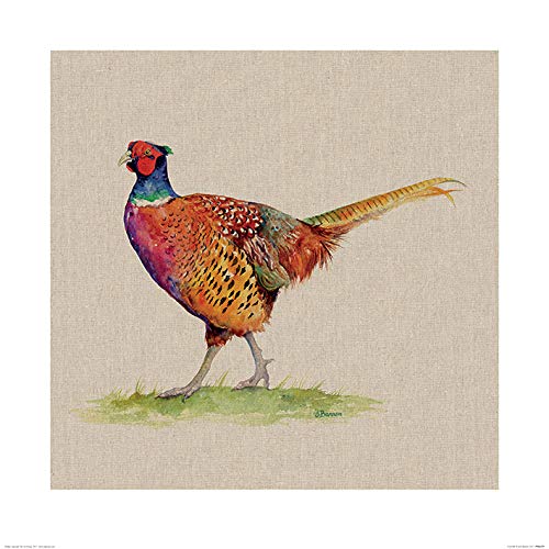 Jane Bannon Kunstdrucke, Mehrfarbig, 60 x 60 cm Jane Bannon Kunstdrucke, Mehrfarbig, 60 x 60 cm von Jane Bannon