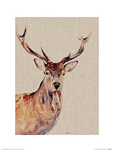 Jane Bannon "Montgomery 30 x 40cm Kunstdruck von Jane Bannon