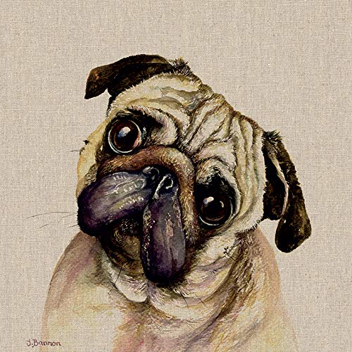 Jane Bannon Pringle 30 x 30cm Canvas Print Leinwanddruck, Mehrfarbig, 30 x 30 cm von Jane Bannon