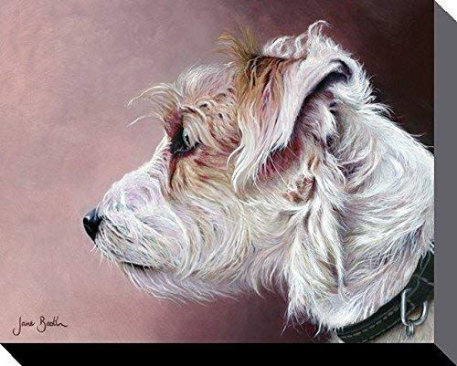 Jane Booth Kunstdruck auf Leinwand, Parsons Terrier, 40 x 50 cm, Polyester, Mehrfarbig, 40x50x3.2 cm von Jane Booth