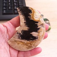 9 cm Fossile Palmenwurzeln Halbmond Natürliche Mineral Handgefertigte Schnitzerei - Für Wohnkultur Und Sammlung von JaneFisherMinerals
