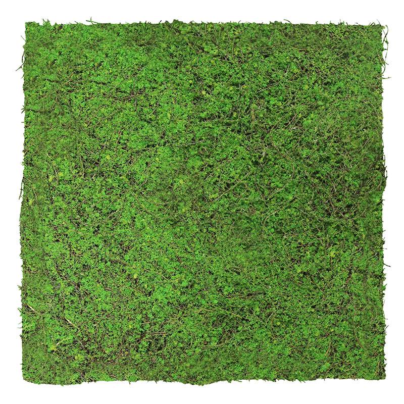JANGAL Modular Wall Akustik Wandpaneel 520 x 520 x 50 mm Forest Green Ancient Tree Naturfaser Pflanz von Jangal