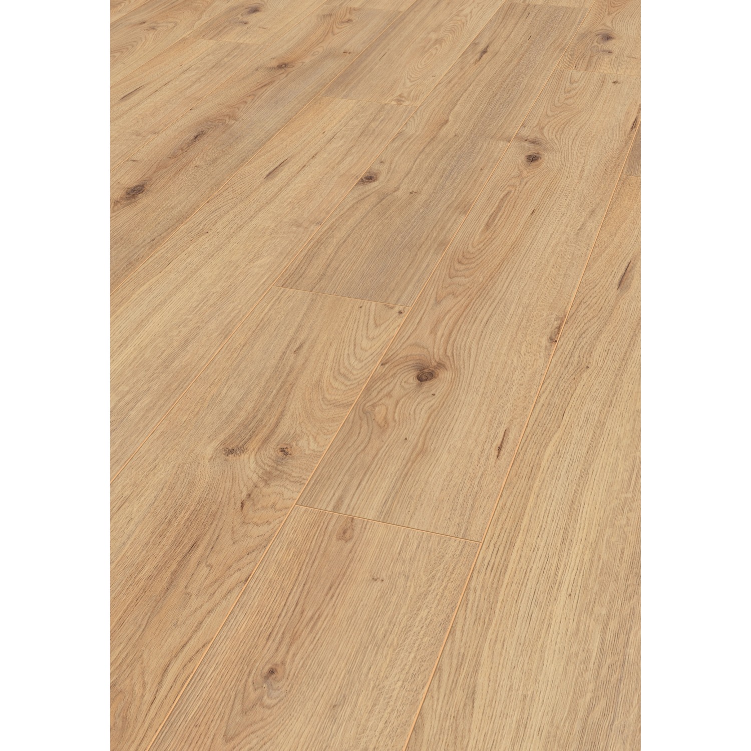 Jangal Laminatboden Oak National Park Line Pro Bright Jangal Laminatboden Oak National Park Line Pro Bright von Jangal