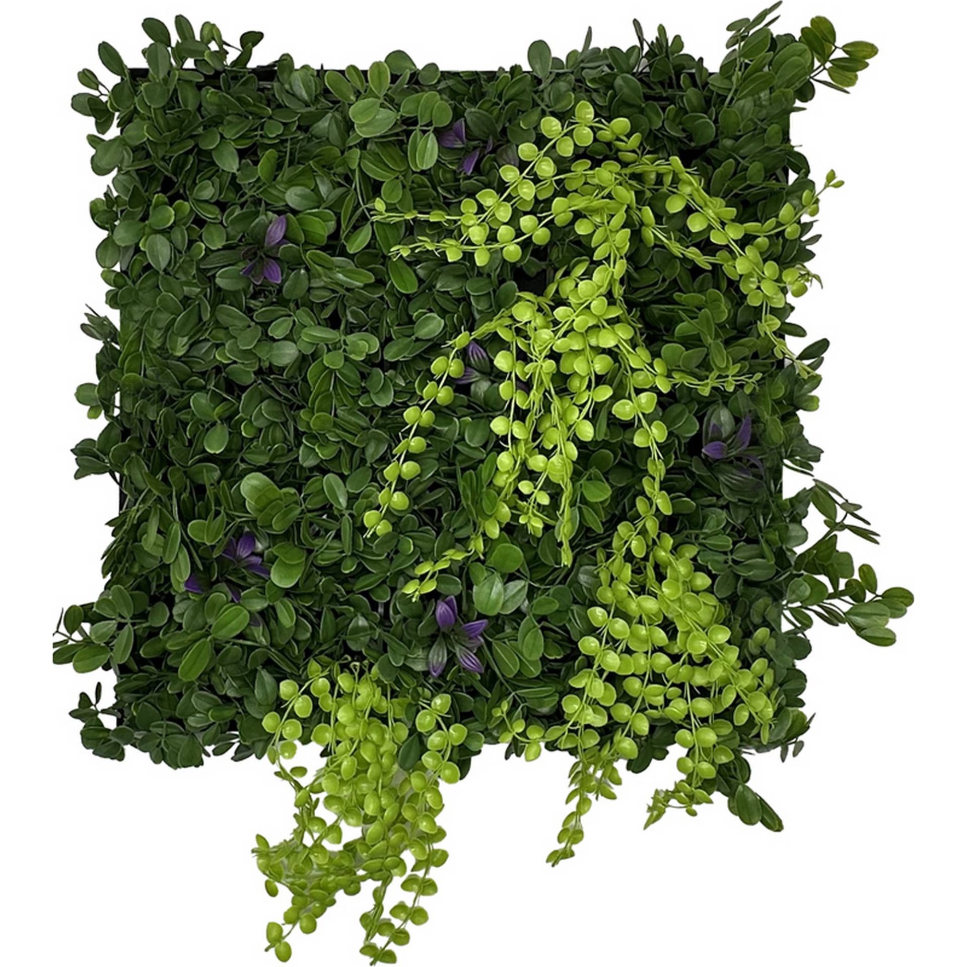 Jangal Wandpaneel 'Modular Wall 11122 Cascade Mixed Flora' grün 52 x 52 cm Jangal Wandpaneel 'Modular Wall 11122 Cascade Mixed Flora' grün 52 x 52 cm von Jangal