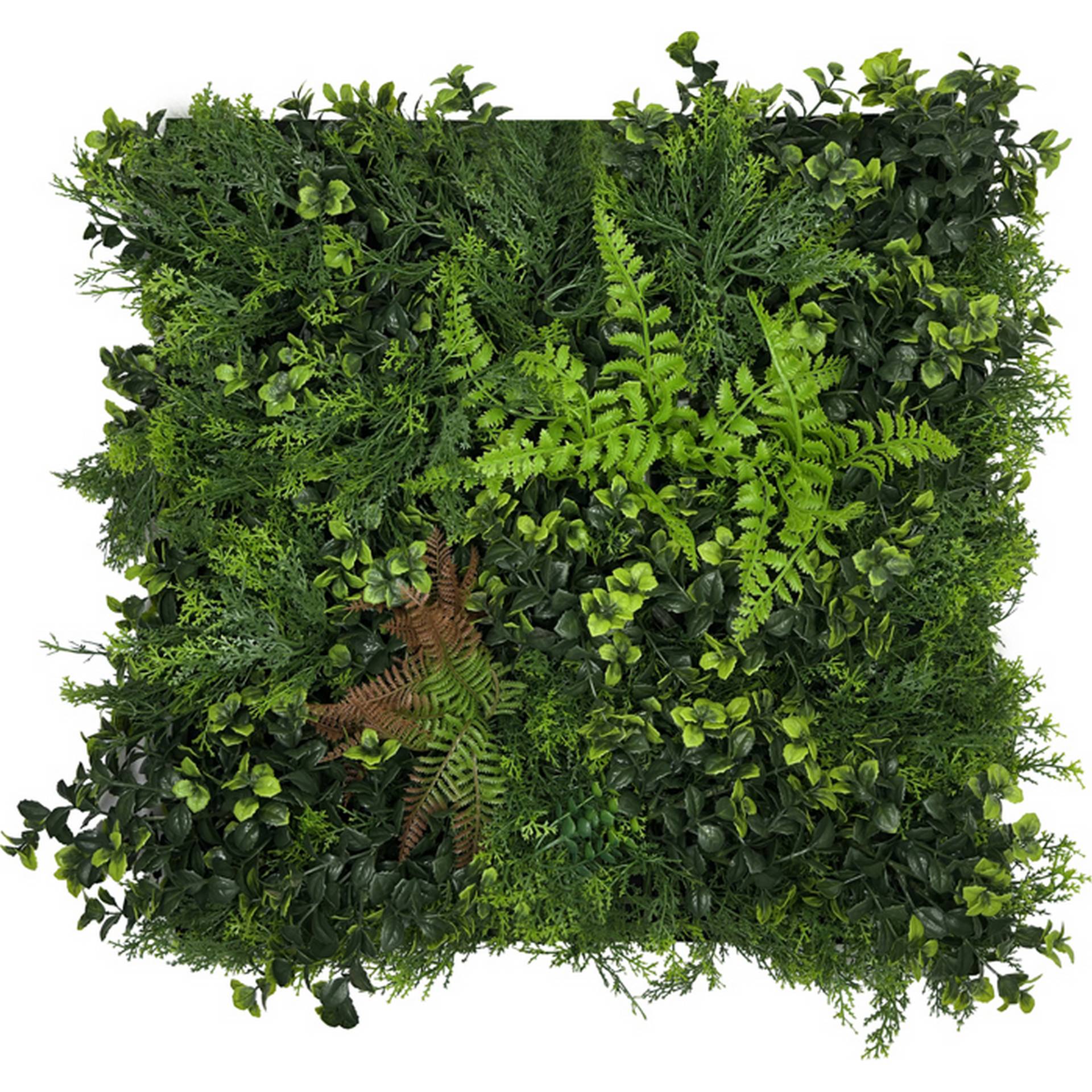 Jangal Wandpaneel 'Modular Wall 11123 Feral Green Mixed Flora' grün 52 x 52 cm Jangal Wandpaneel 'Modular Wall 11123 Feral Green Mixed Flora' grün 52 x 52 cm von Jangal