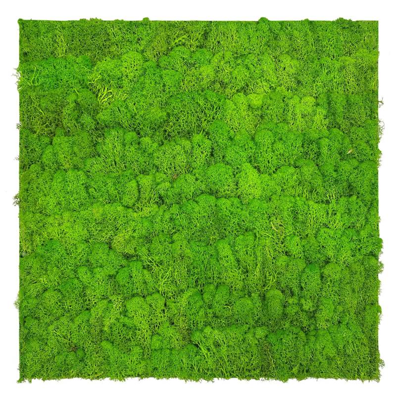 Jangal Wandpaneel Modular Wall Bright Green Moos 52 x 52 cm von Jangal