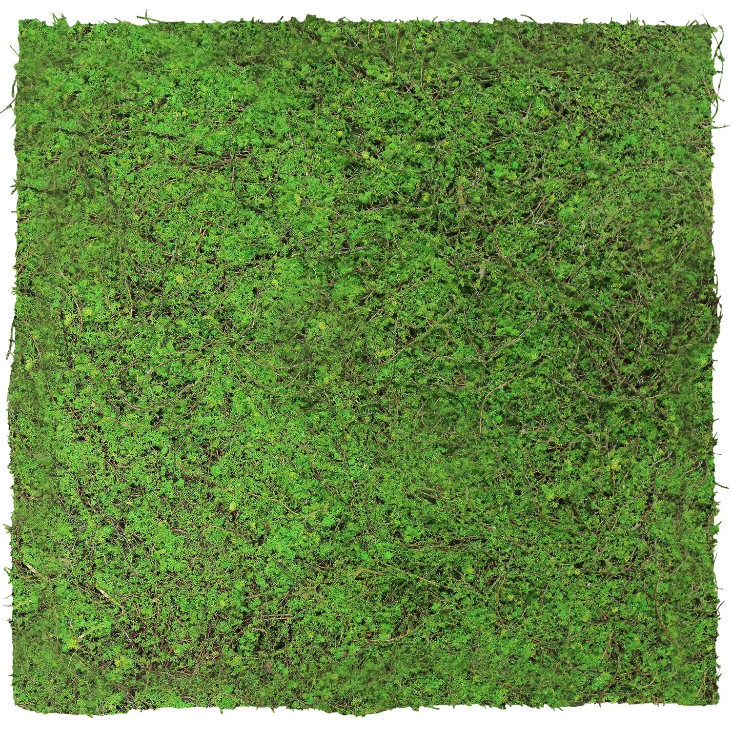 Jangal Wandpaneel Modular Wall Forest Green Ancient Tree 52 x 52 cm Jangal Wandpaneel Modular Wall Forest Green Ancient Tree 52 x 52 cm von Jangal