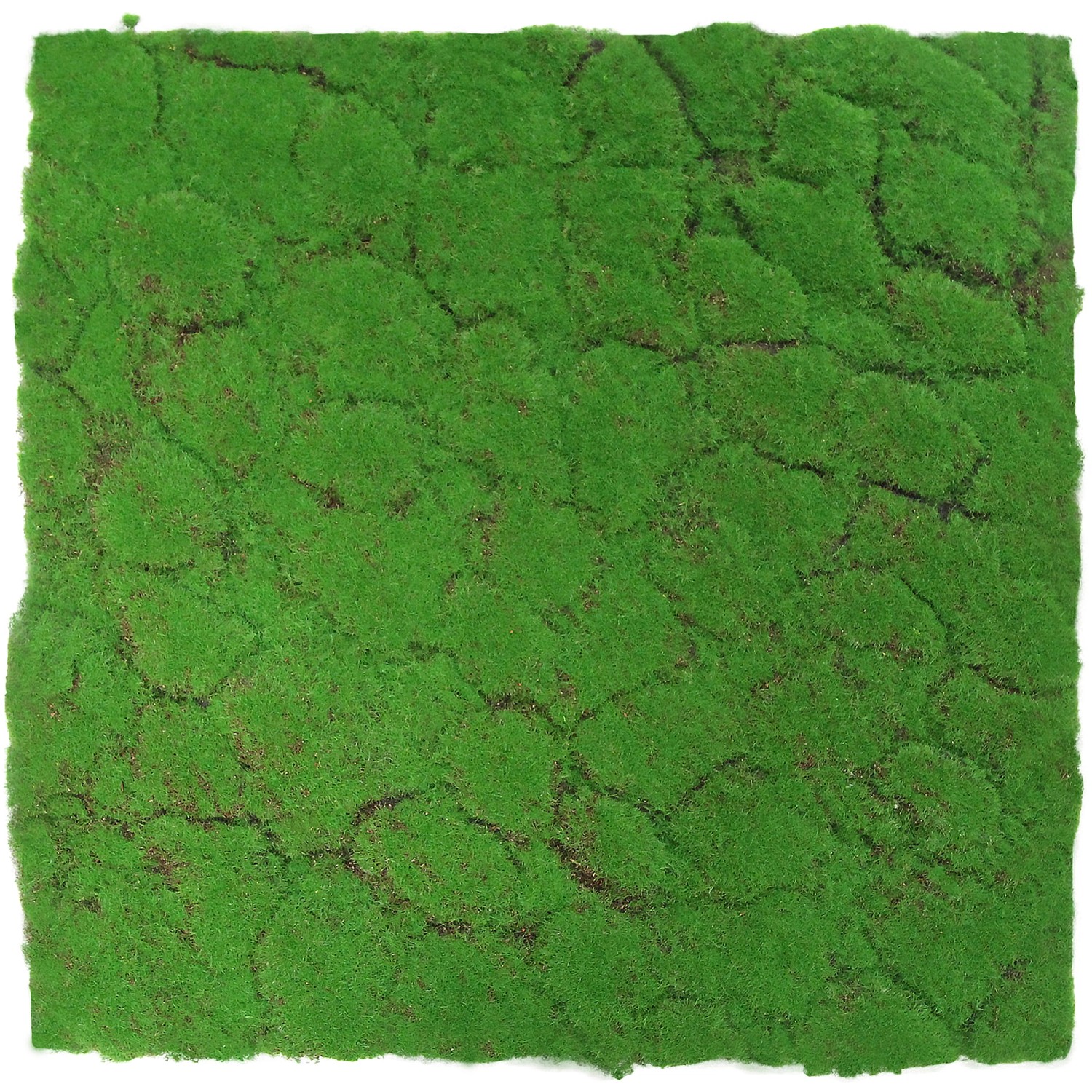 Jangal Wandpaneel Modular Wall Forest Green Design Moos 52 x 52 cm Jangal Wandpaneel Modular Wall Forest Green Design Moos 52 x 52 cm von Jangal